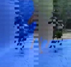 gqeadgAV's Avatar